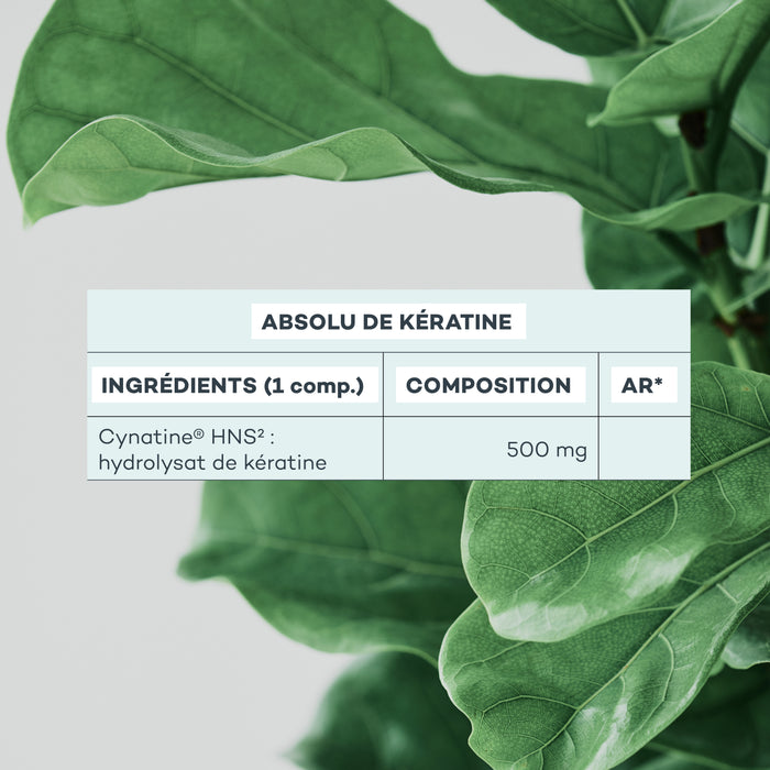 composition absolu de kératine