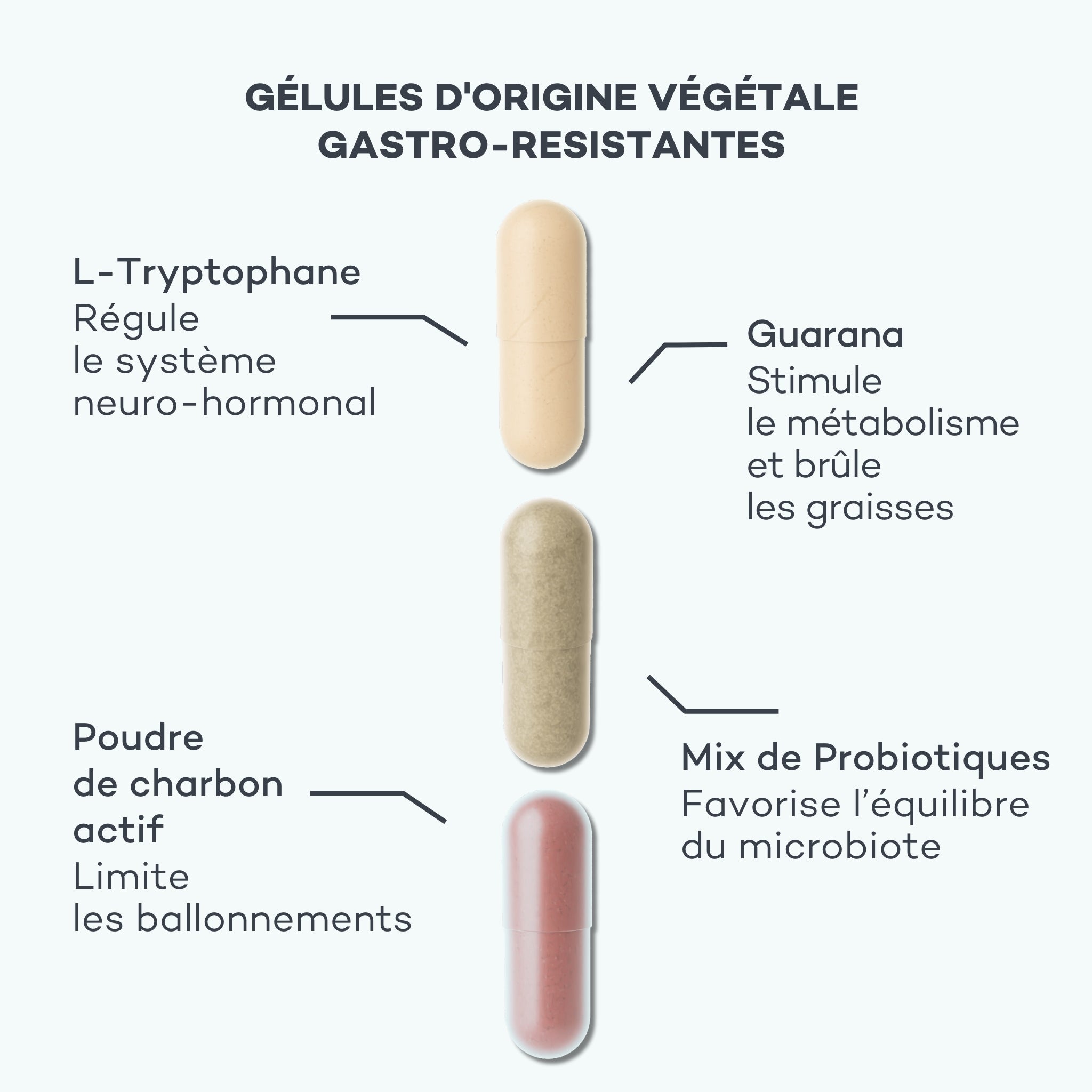 gélules ventre plat