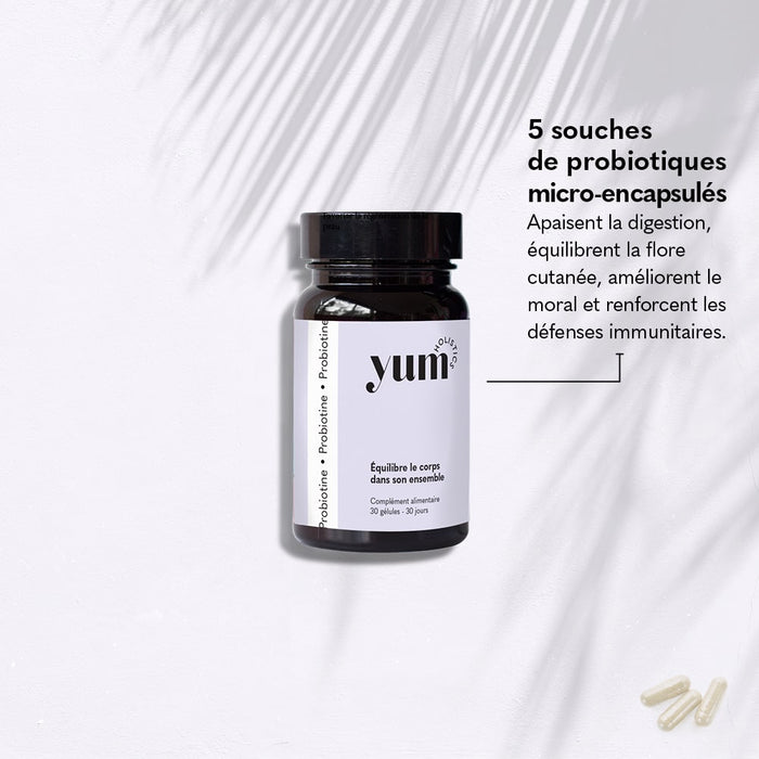 energy + concentration powder