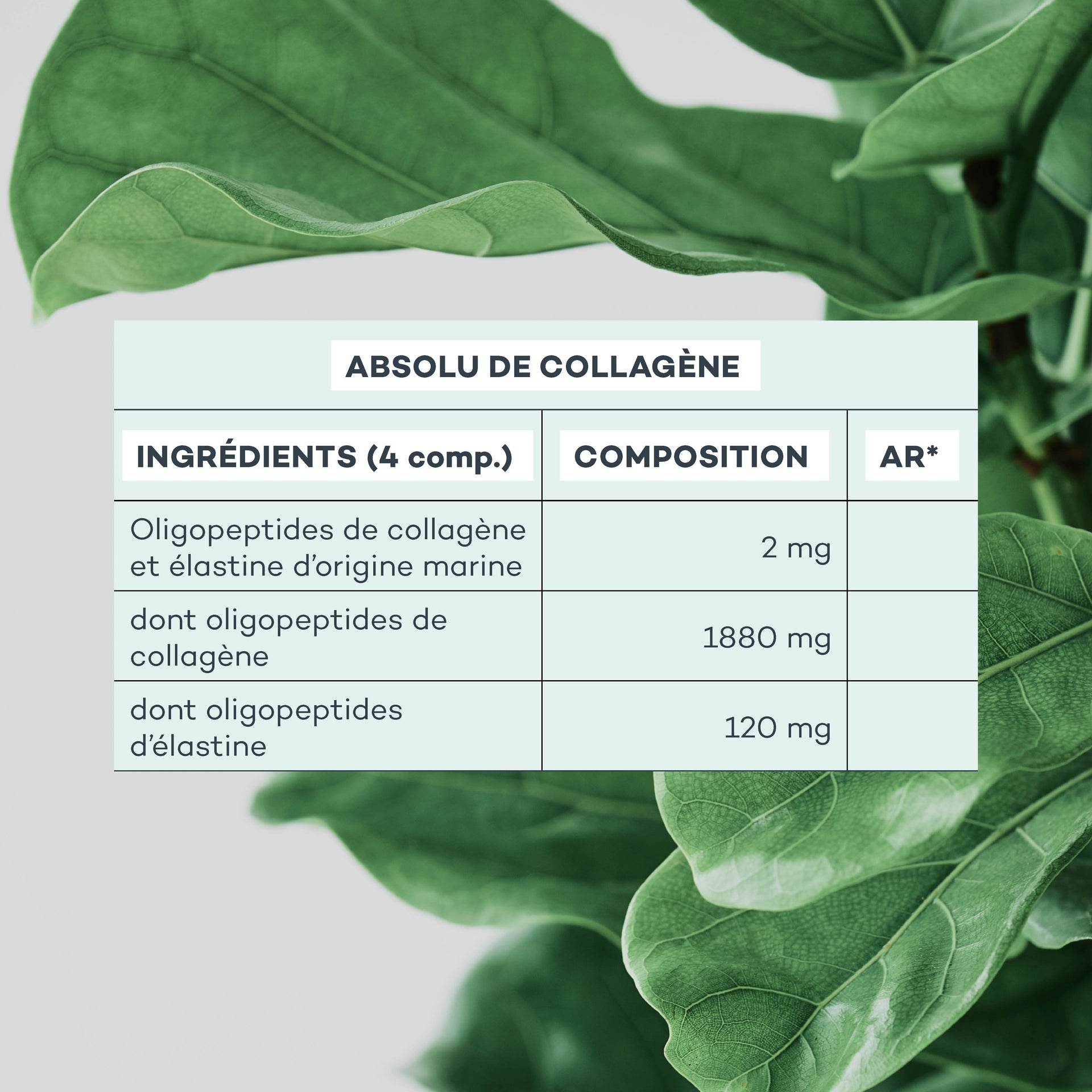 collagène