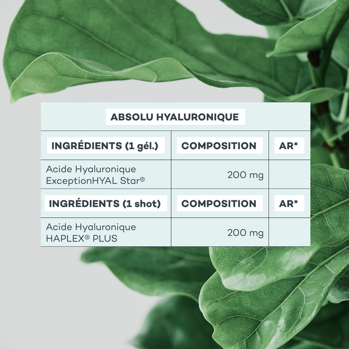 gélule acide hyaluronique