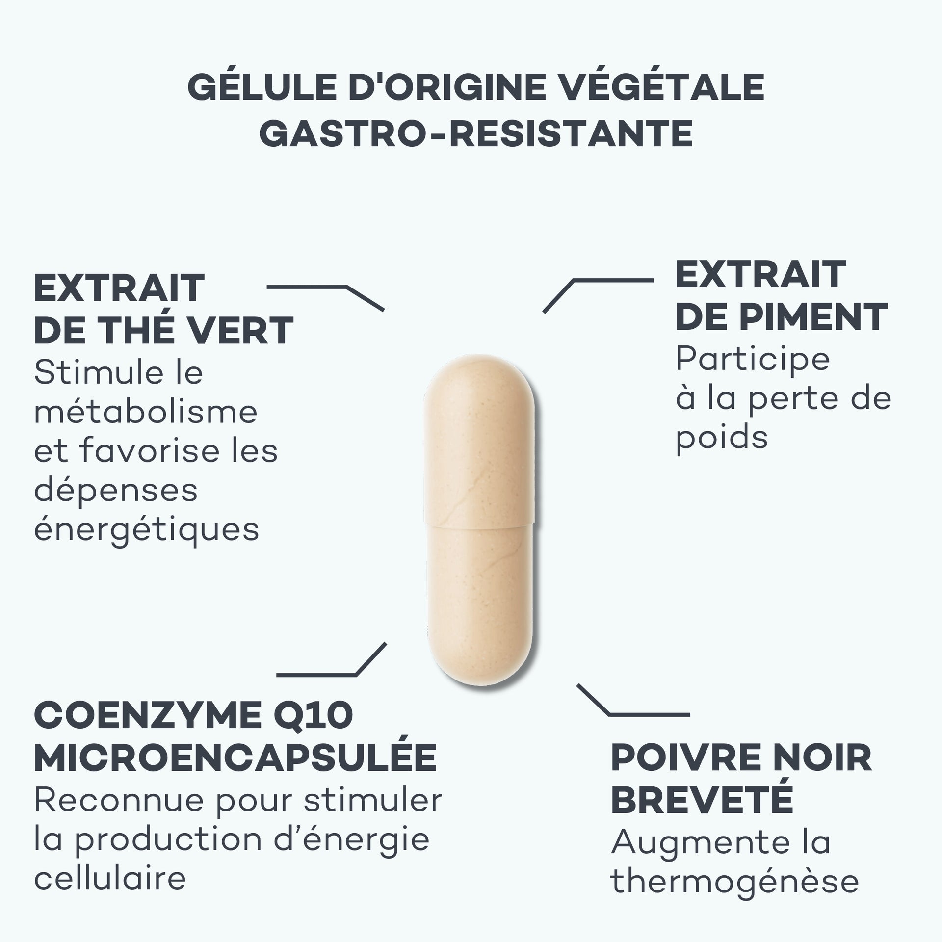 Metabolism Activator