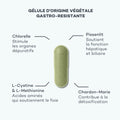 nettoyer le foie
