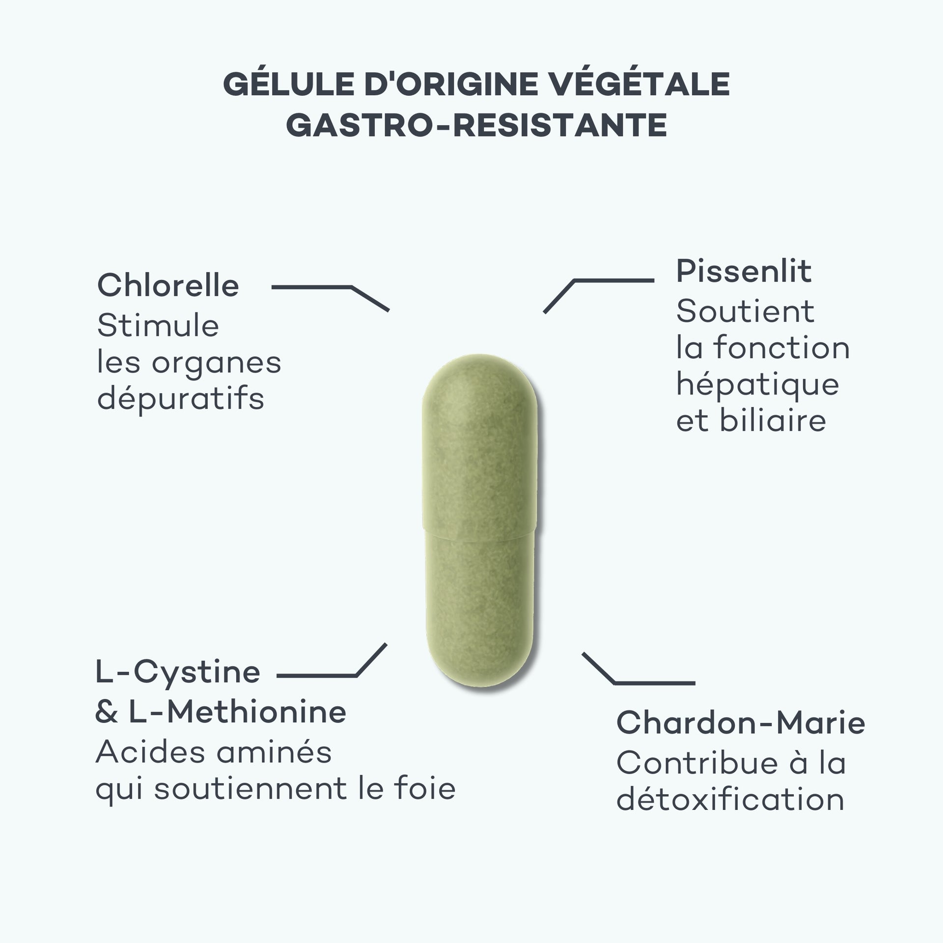 nettoyer le foie