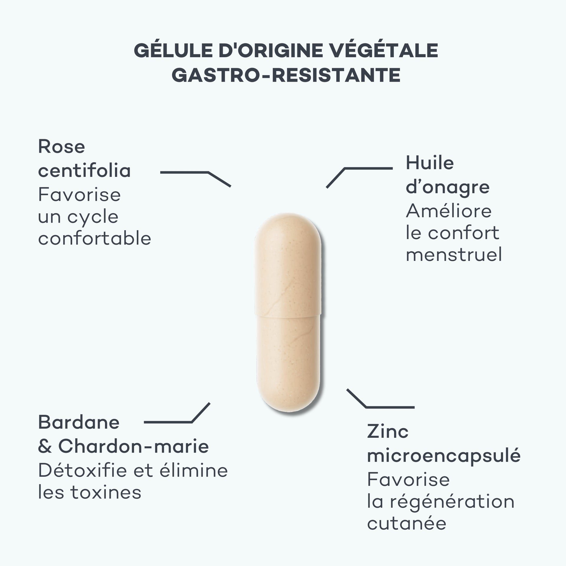 cycle menstruel
