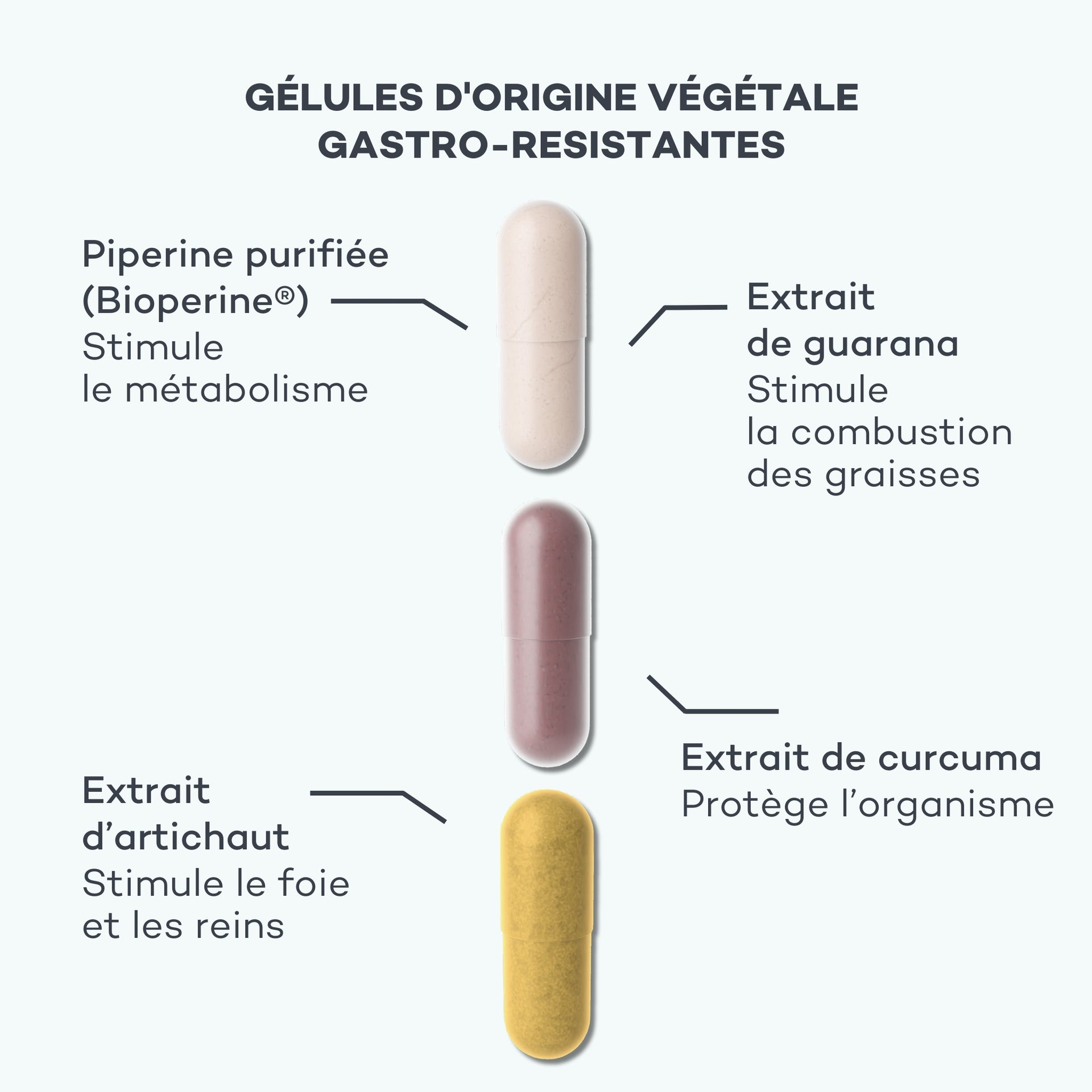 gélule brule graisse