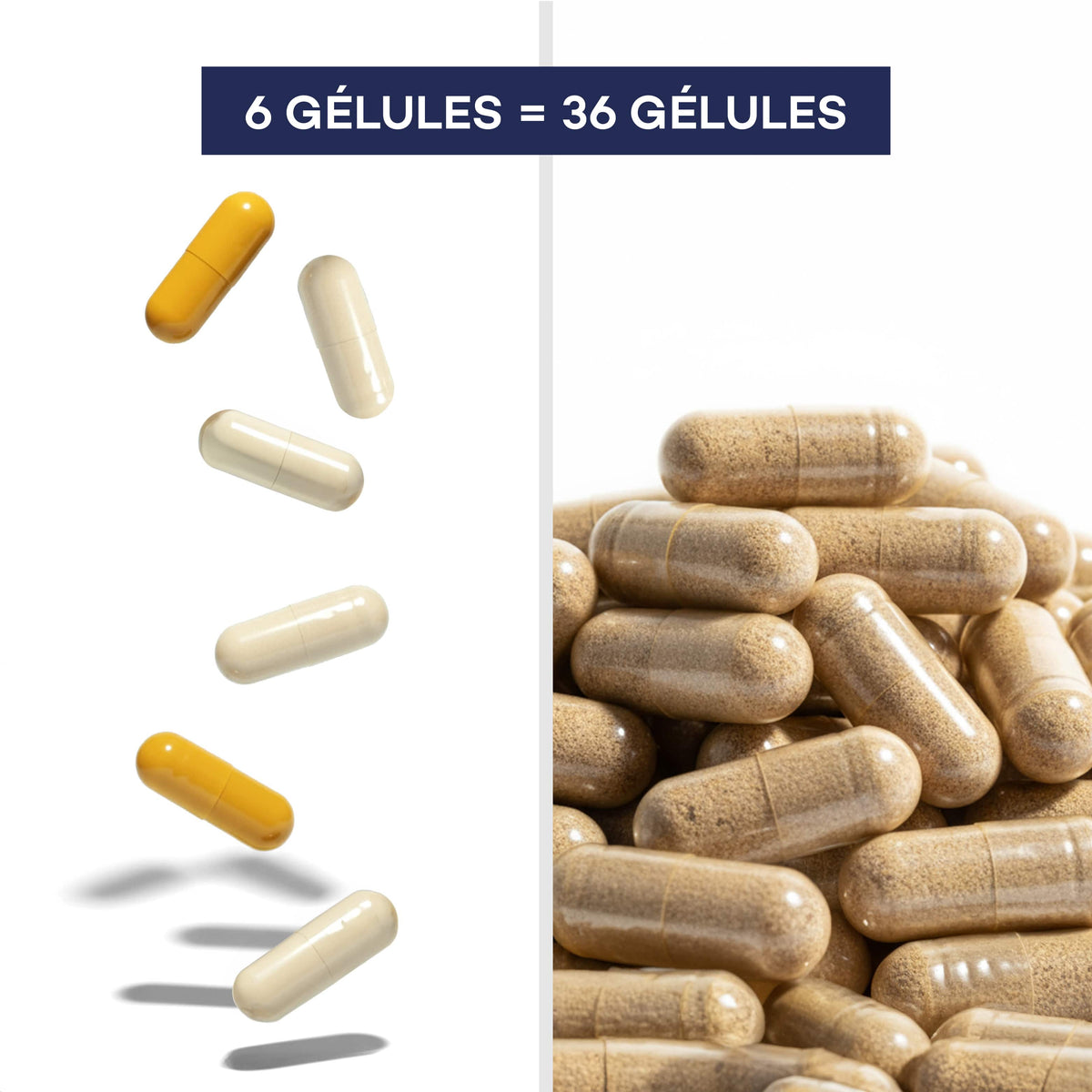 6 gélules par jour équivalent à 36 gélules mono-ingrédient dans la Routine Découverte Longévité D-LAB