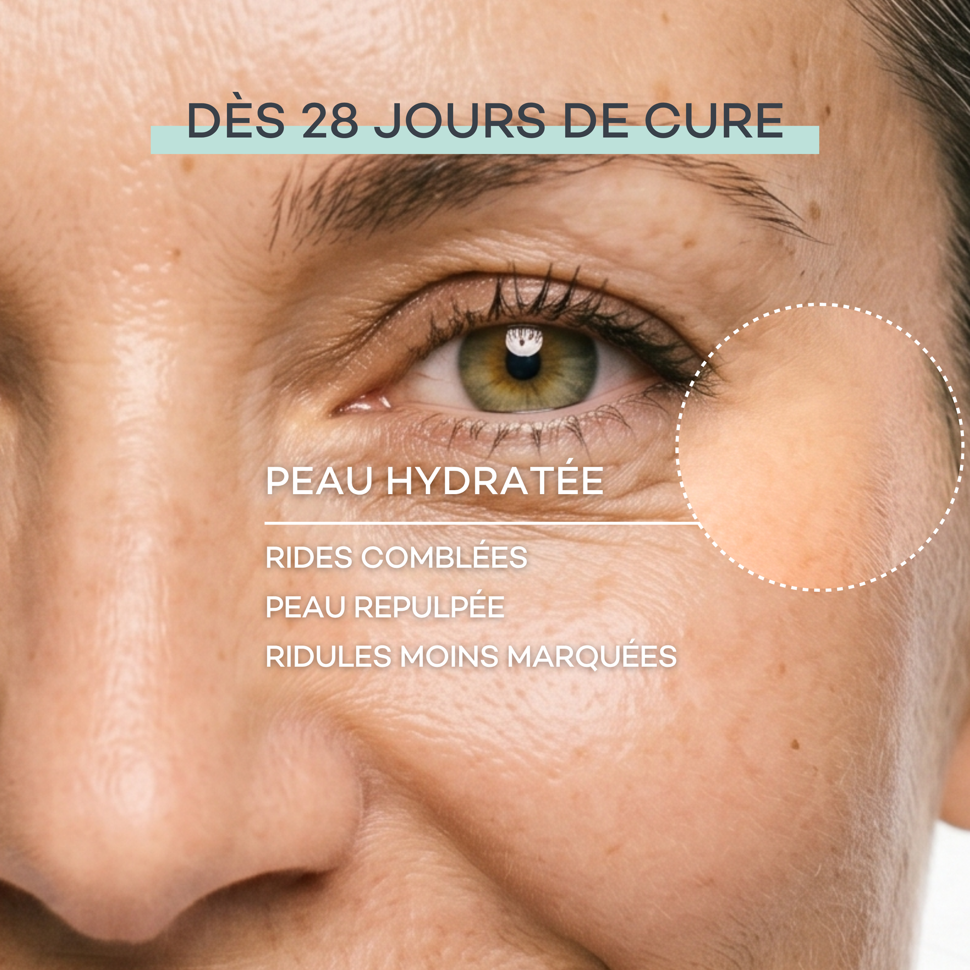 Routine Nutrition-Absolue