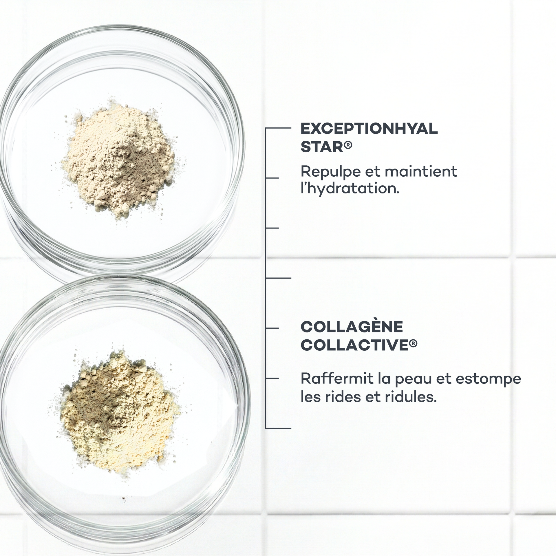 Routine Nutrition-Absolue
