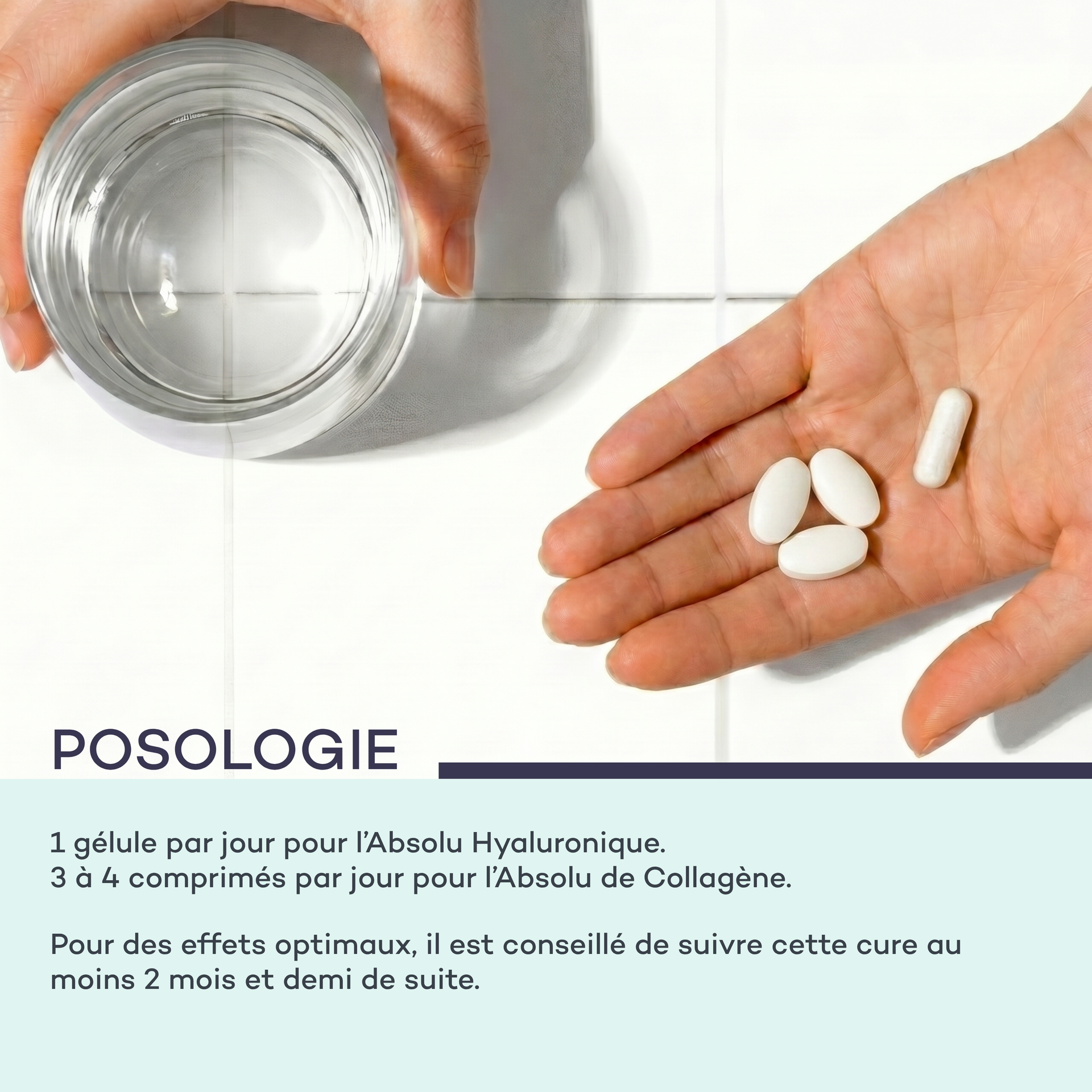 Routine Nutrition-Absolue